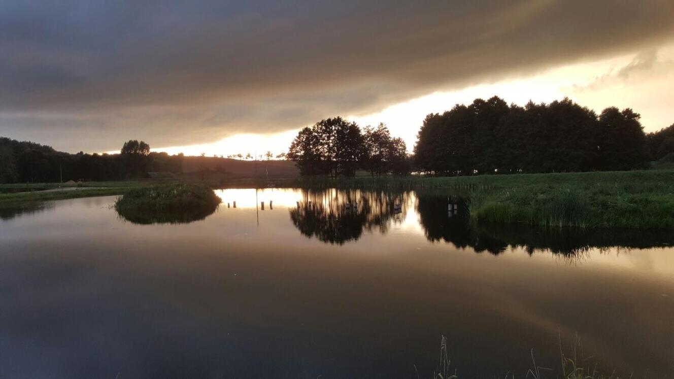 Villa Mila Przystan Ksiaznik Esterno foto